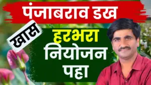 पंजाब डख यांचा खास हरभरा नियोजन मंत्र: ३२ दिवसांच्या प्लॉटचा अनुभव