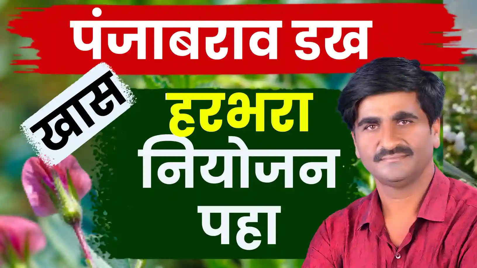 पंजाब डख यांचा खास हरभरा नियोजन मंत्र