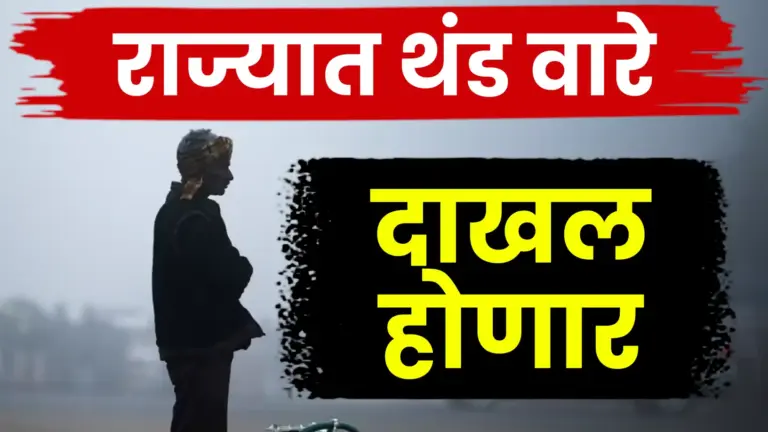 थंडीची लाट कायम: विदर्भात पारा ८ अंशांपर्यंत, उर्वरित महाराष्ट्रातही गारवा वाढणार!