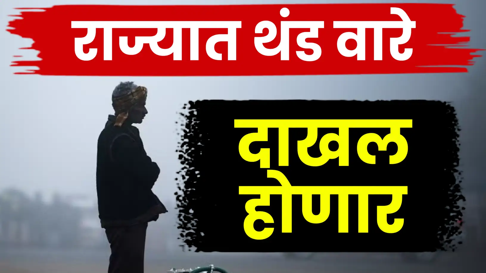 थंडीची लाट कायम